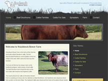 Woodstock Bower Web Design